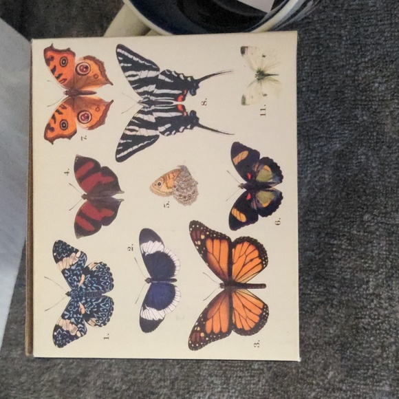 Ceramic Butterflies Mug 🦋 - Picture 5 of 7